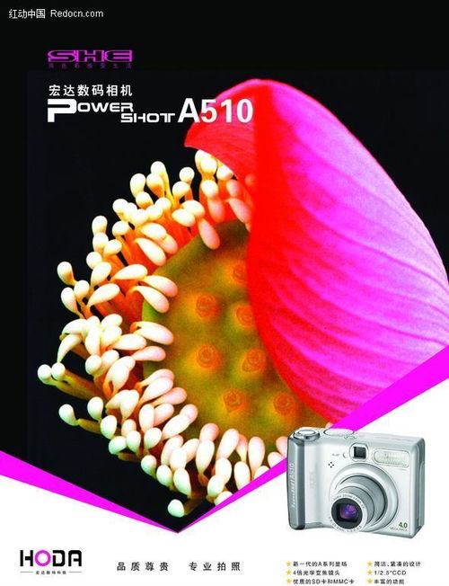 捕捉每一個精彩瞬間——新一代數(shù)碼相機(jī)，開啟攝影新紀(jì)元